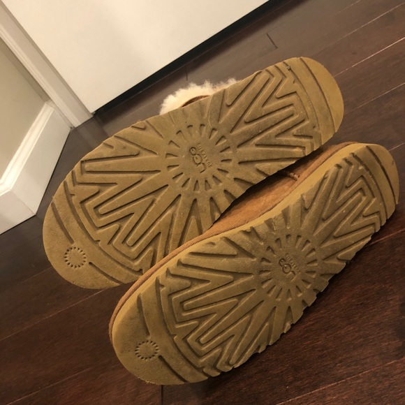 Bailey Button Chestnut uggs - Picture 4 of 4
